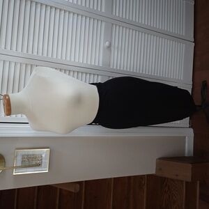 Express Black Pencil Skirt